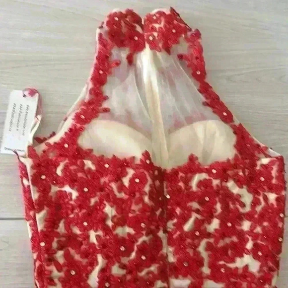 Red and Cream Floral Lace Halter Neck Evening Gown Prom Dress - Picture 14 of 17